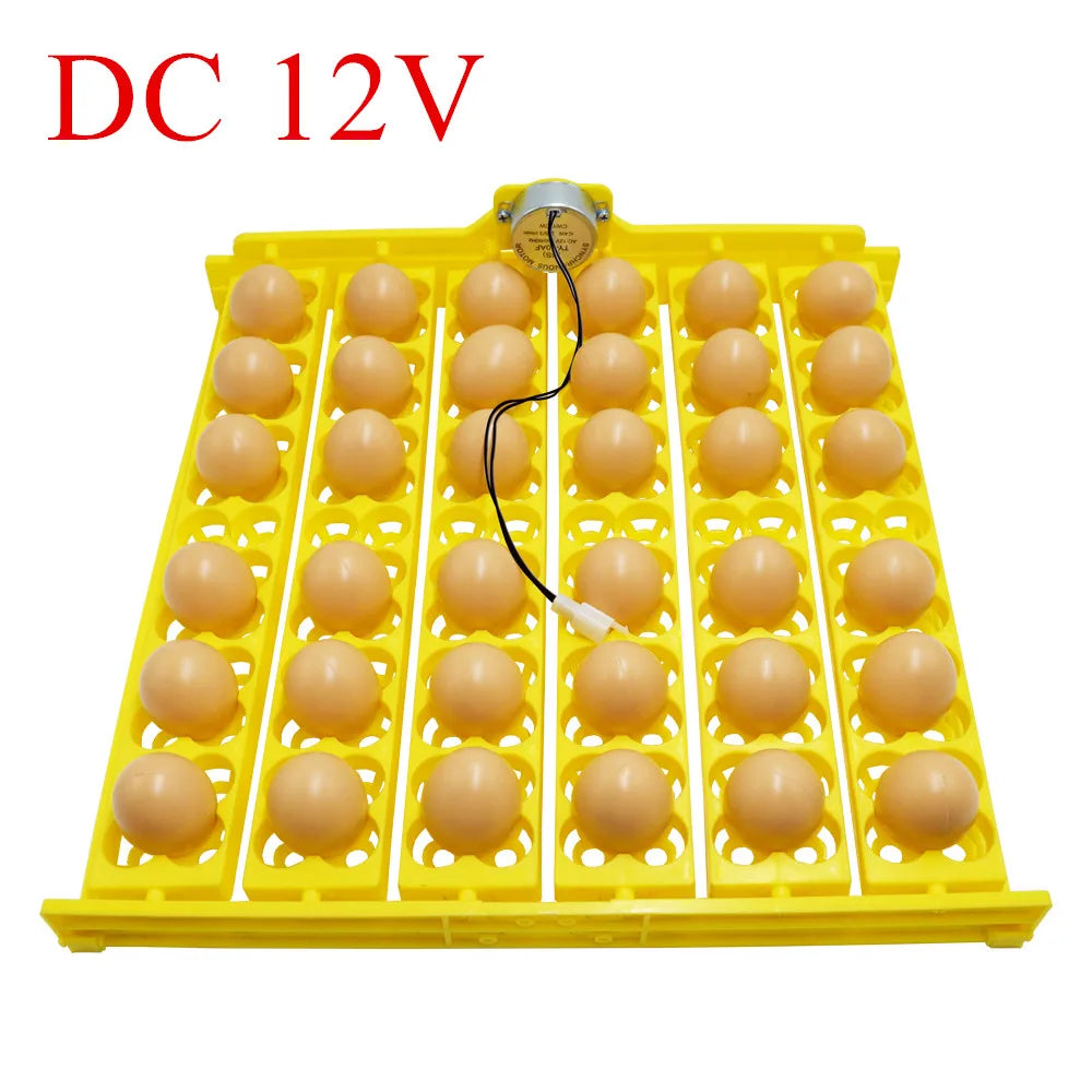 156 Quail Eggs Tray Incubator Turner Automatically Turn Eggs Poultry Incubation Equipment Chicks Ducks & Other Poultry Incubato