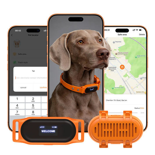 2026 Real-Time GPS Pet Collar Tracker Health Monitoring & Step Counting for Dogs and Cats