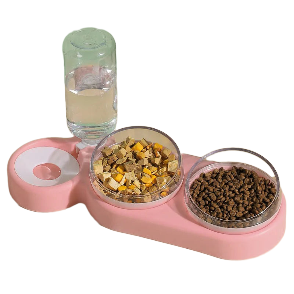 3 in 1 Snail Pet Feeding Bowl with Water Dispenser My Store 2