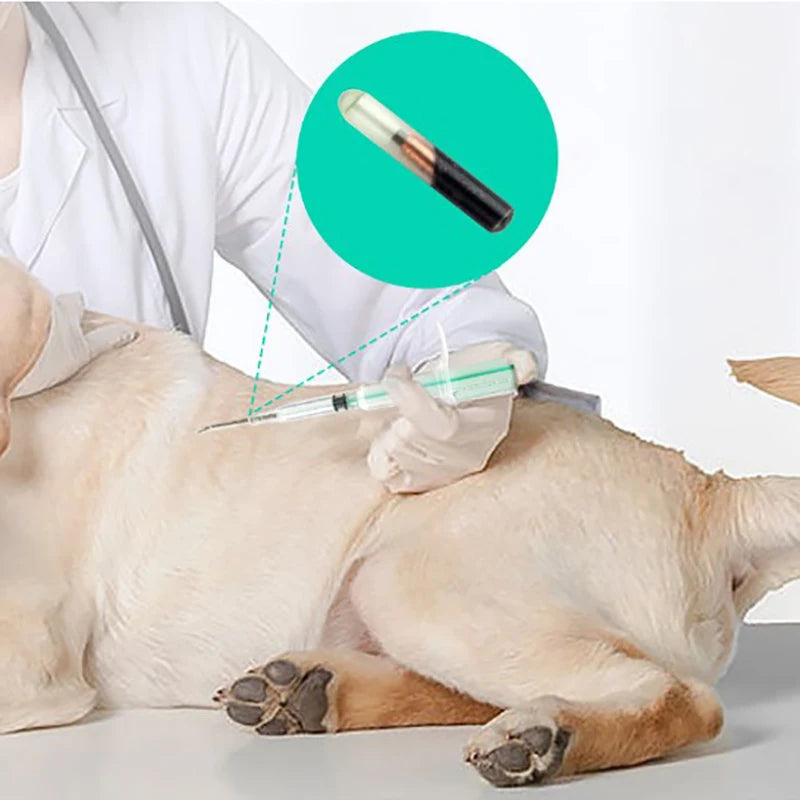 1.25*7Mm/1.4*8Mm/2.12*12Mm Pet Animal Microchip Syringe Horse Dog Microchip Pet Chip Animal Chip Syringe for Dogs Cats Fish