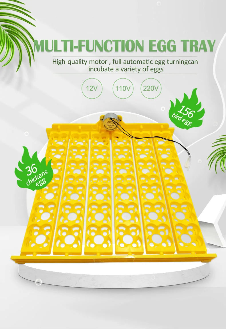 156 Quail Eggs Tray Incubator Turner Automatically Turn Eggs  Poultry Incubation Equipment Chicks Ducks & Other Poultry Incubato