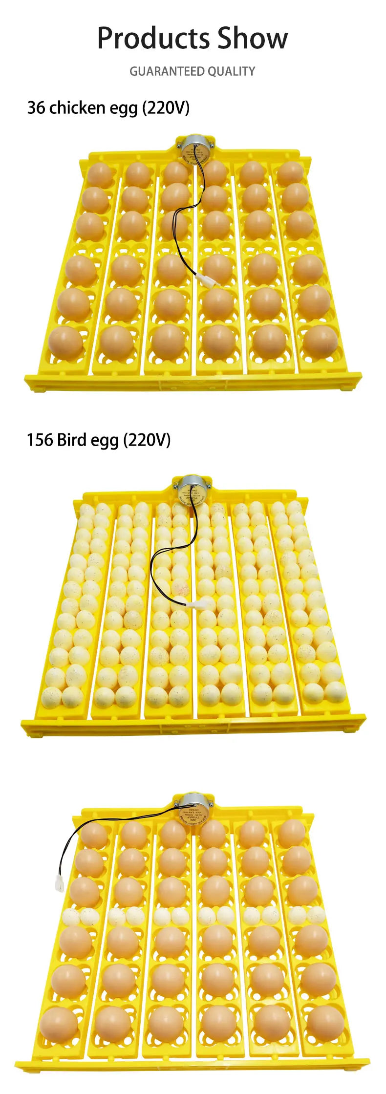 156 Quail Eggs Tray Incubator Turner Automatically Turn Eggs  Poultry Incubation Equipment Chicks Ducks & Other Poultry Incubato