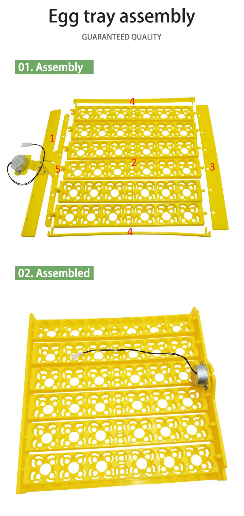 156 Quail Eggs Tray Incubator Turner Automatically Turn Eggs  Poultry Incubation Equipment Chicks Ducks & Other Poultry Incubato
