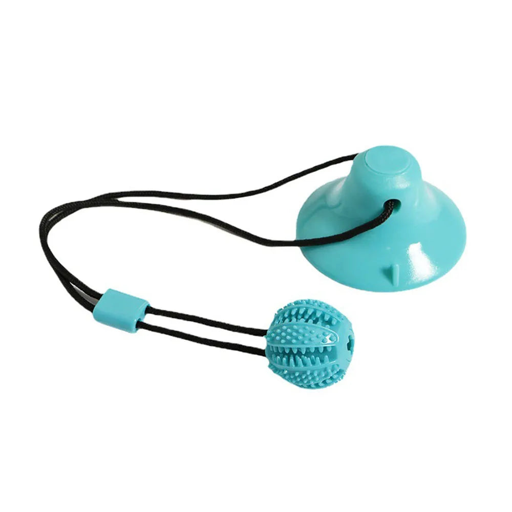 Interactive Dog Chew Ball Toy with Suction Cup My Store 2