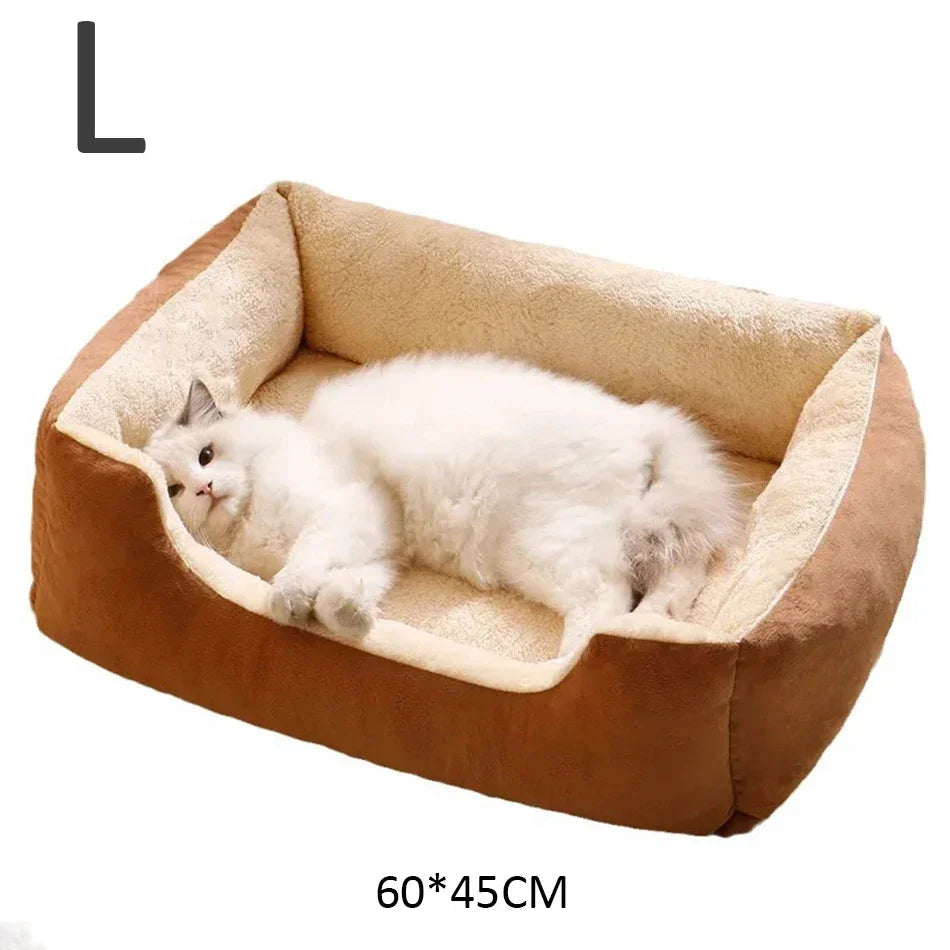 Bed for Cats Pet Products Cushions Kitten Goods Accessories Dog All Houses Supplies Things Accessory Habitats Basket House Beds Dureve