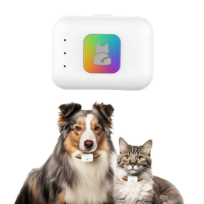 GPS Pet Locator Smart Collar with Colorful LED Flash IP67 Waterproof Pet Pedometer Calorie Health Data Monitoring Mini Tracker
