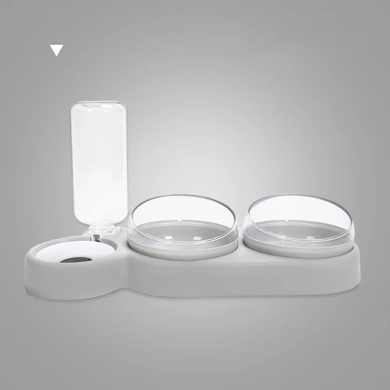 3 in 1 Snail Pet Feeding Bowl with Water Dispenser My Store 2