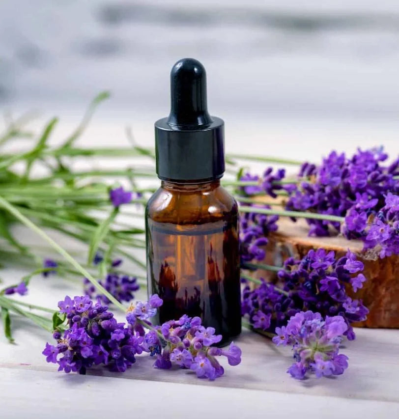 OEM Private Label Lavender Oil 100% Pure & Natural Lavender Essential Oil for Support Natural Aromatherapy, Hair & Skin Care