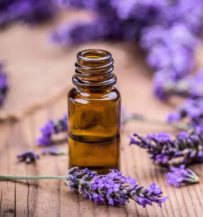 OEM Private Label Lavender Oil 100% Pure & Natural Lavender Essential Oil for Support Natural Aromatherapy, Hair & Skin Care