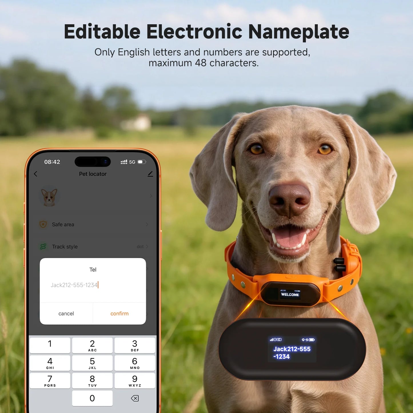 2026 Real-Time GPS Pet Collar Tracker Health Monitoring & Step Counting for Dogs and Cats