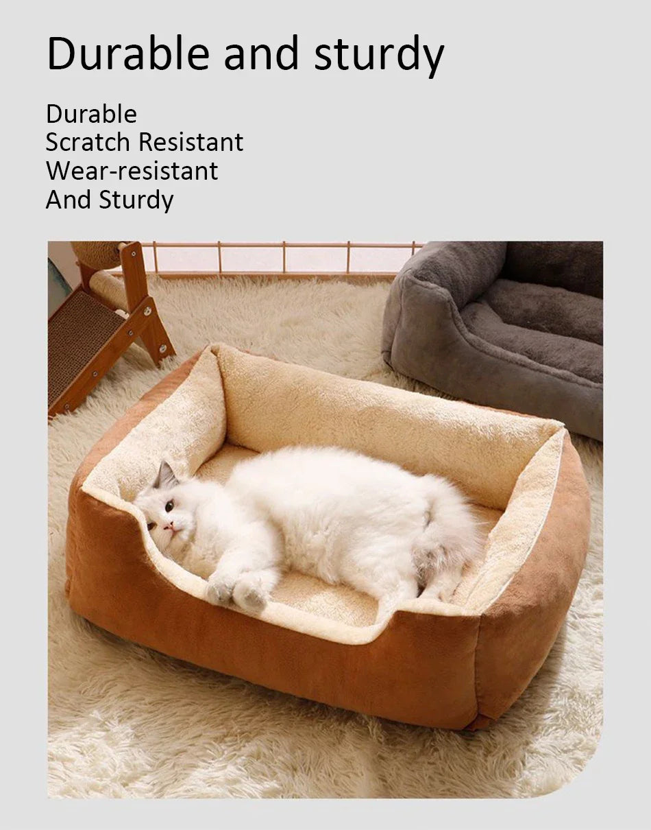 Bed for Cats Pet Products Cushions Kitten Goods Accessories Dog All Houses Supplies Things Accessory Habitats Basket House Beds Dureve