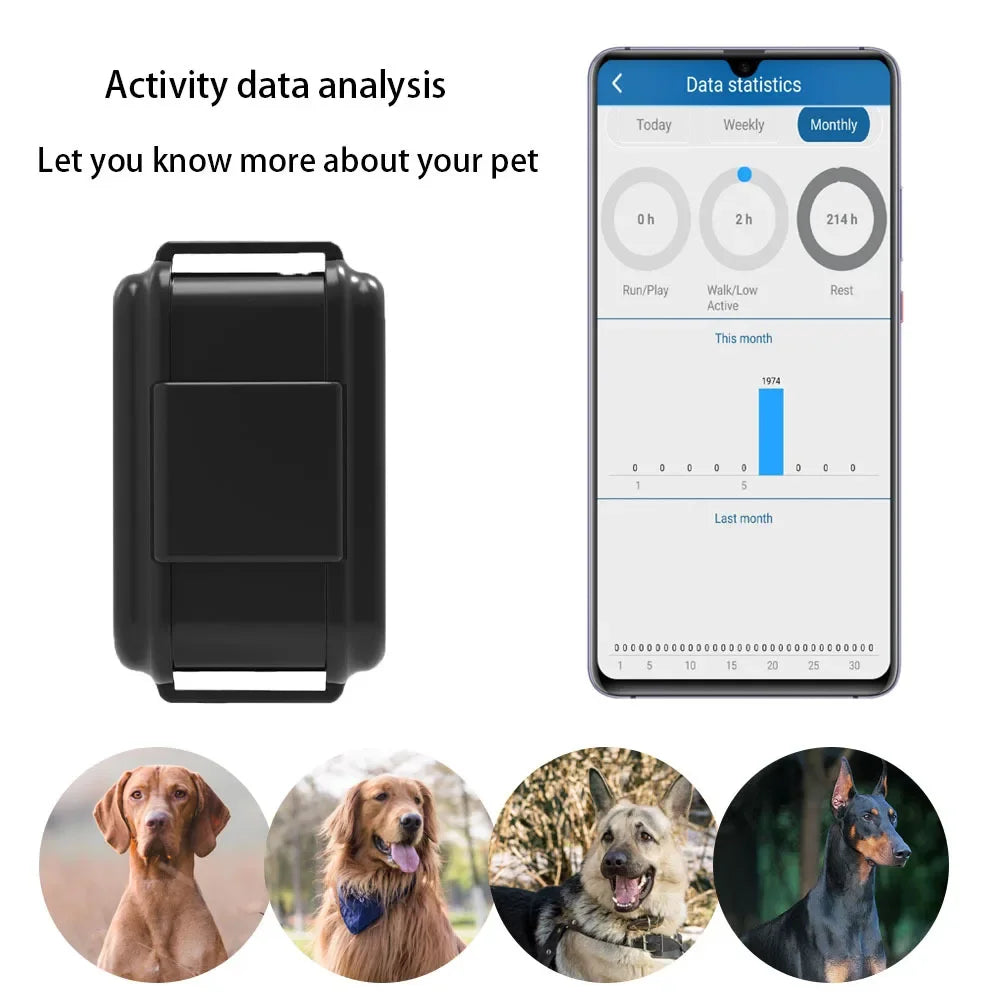 4G GPS Tracker for Hunting Dog Animal Shake Alarm Geofence Free APP Realtime Tracking GPS Locator 3000mAh Battery Voice Monitor