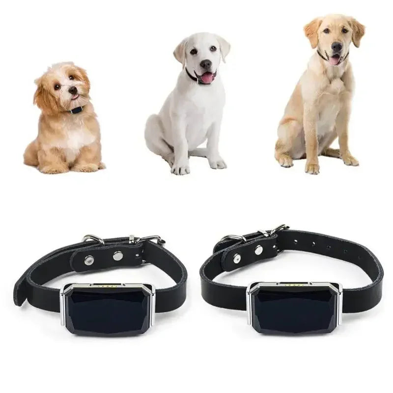 IP67 Waterproof GPS Pet Collar Tracker with WiFi Light My Store 2