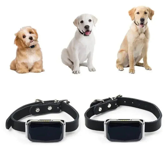 IP67 Waterproof GPS Pet Collar Tracker with WiFi Light My Store 2