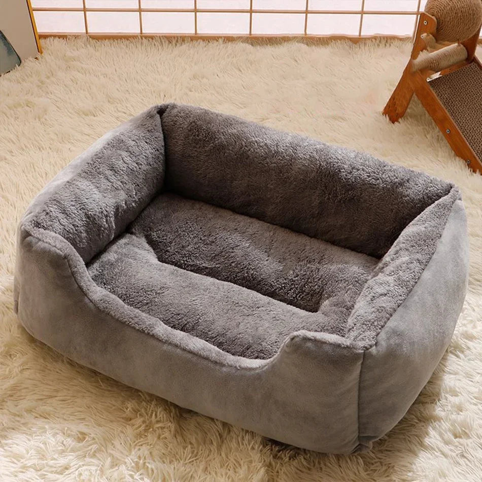 Bed for Cats Pet Products Cushions Kitten Goods Accessories Dog All Houses Supplies Things Accessory Habitats Basket House Beds Dureve