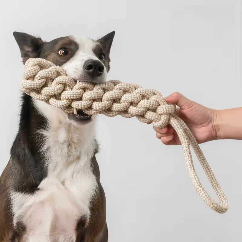 A 3-piece Set Of Leisure And Entertainment Toys For Dogs And Cats To Better Interact With Your Pets Dureve