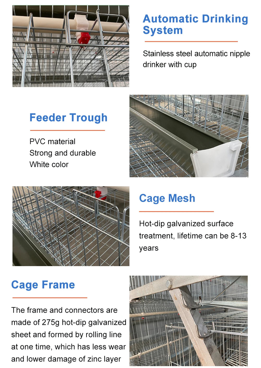 Poultry Farm Equipment  Layer Chickens Battery Cage With Automatic Feeder and Drinker
