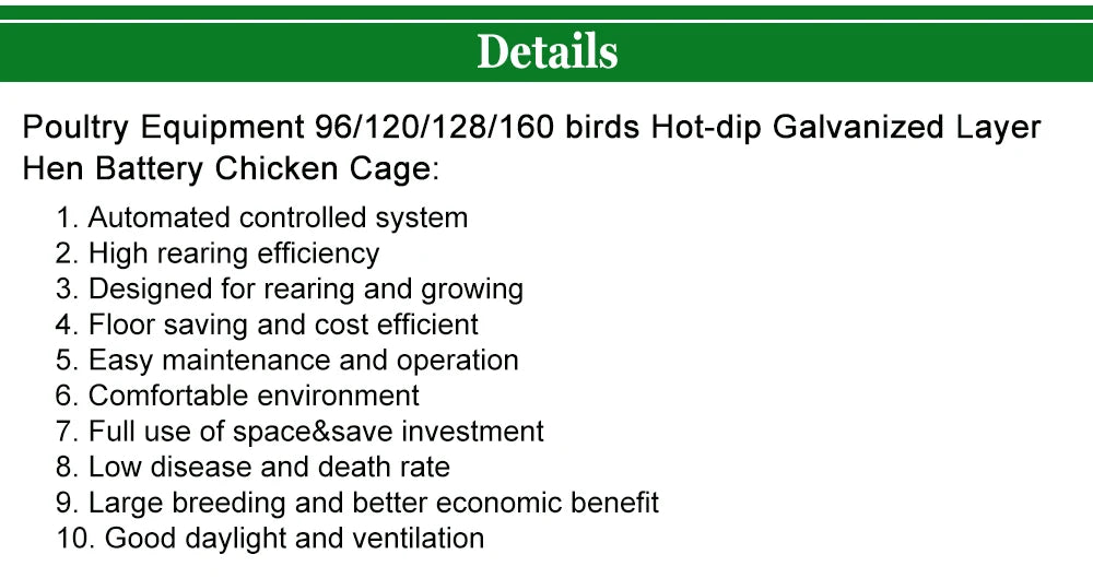 Poultry Farm Equipment  Layer Chickens Battery Cage With Automatic Feeder and Drinker