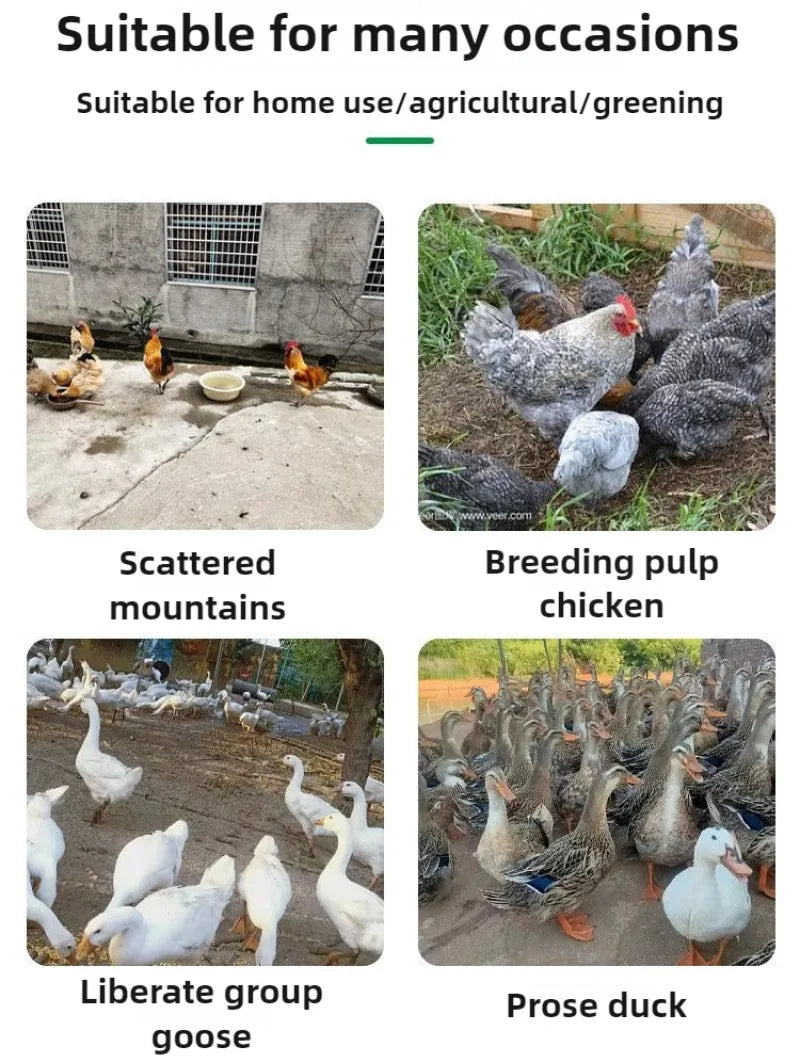 Poultry Breeding Chickens Automatic Water Dispenser Duck Feeding Sink Automatic Water Bowl Geese Farm Animal Watering Supplies