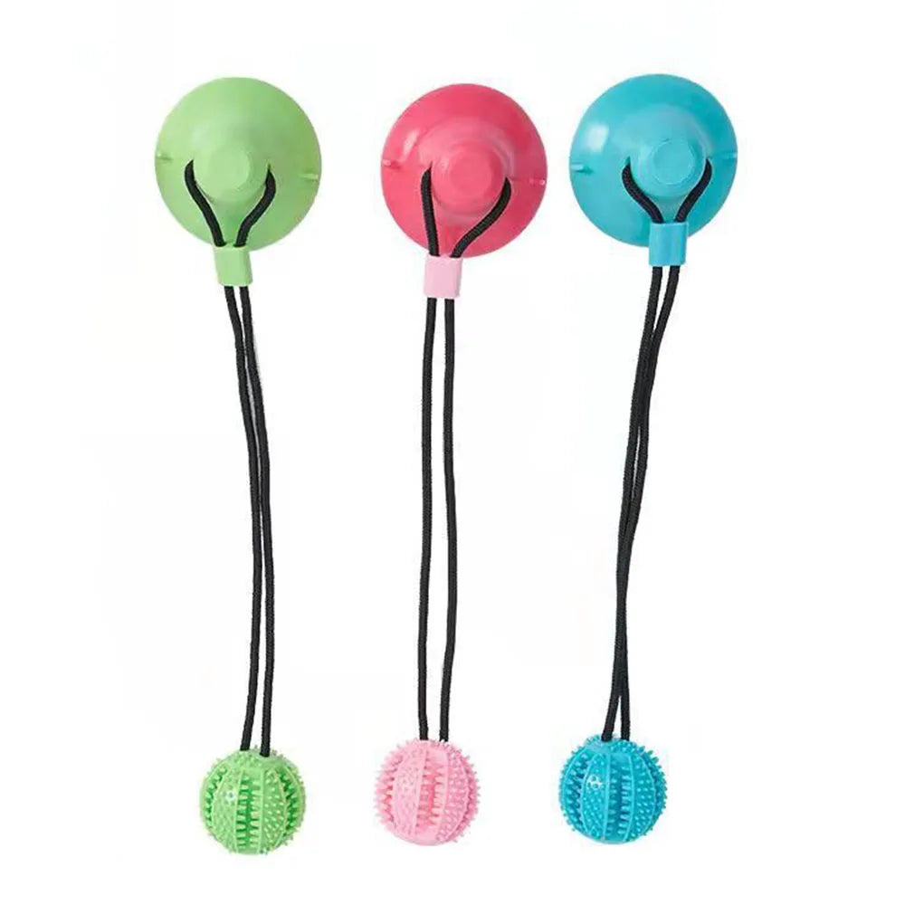 Interactive Dog Chew Ball Toy with Suction Cup My Store 2