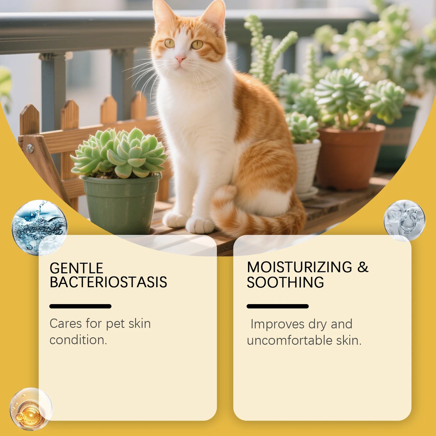 Pet Skin Care Spray - Gentle Cleaning and Care for Cat and Dog Skin, Specially Designed Pet Care Spray