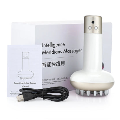 Eletric Guahsa Massager Meridian Massage Brush Lymphatic Drainage Machine Heating Microcurrent Body Back Massager Anti Cellulite