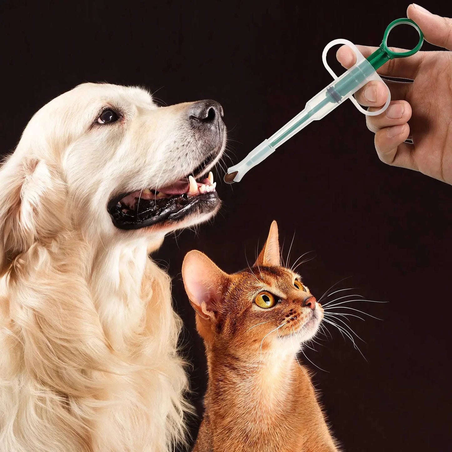 Pet Medication Dispenser, Pressing Feeding Stick for Cats and Dogs, Eating Pills, Pills, Medication Artifacts, Pet Sickness Care Dureve