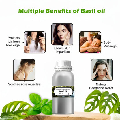 Wholesale High Quality Basil Essential Oil 100% Pure & Natural Basil Oil for Aromatherapy Scalp Nourishing & Skin Care