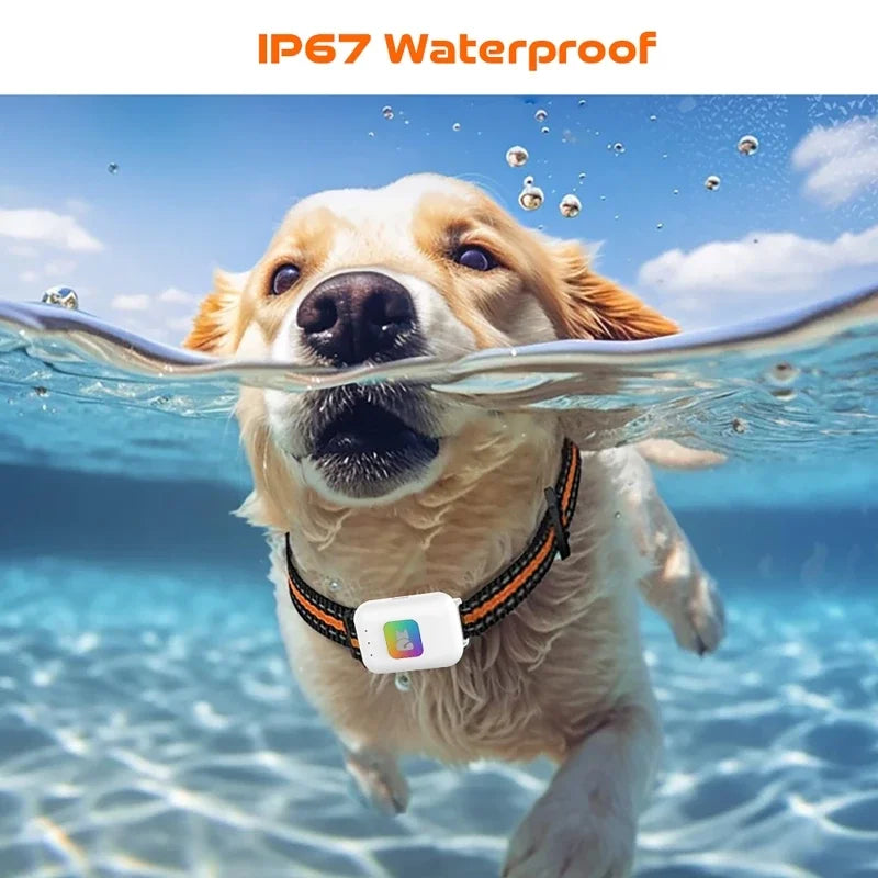 GPS Pet Locator Smart Collar with Colorful LED Flash IP67 Waterproof Pet Pedometer Calorie Health Data Monitoring Mini Tracker