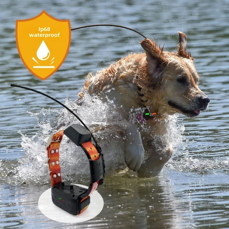 Eseek GPS Hunter Dog Tracker for Hunting Dogs Pet Training Supplies With Handheld And 2 Training Collars