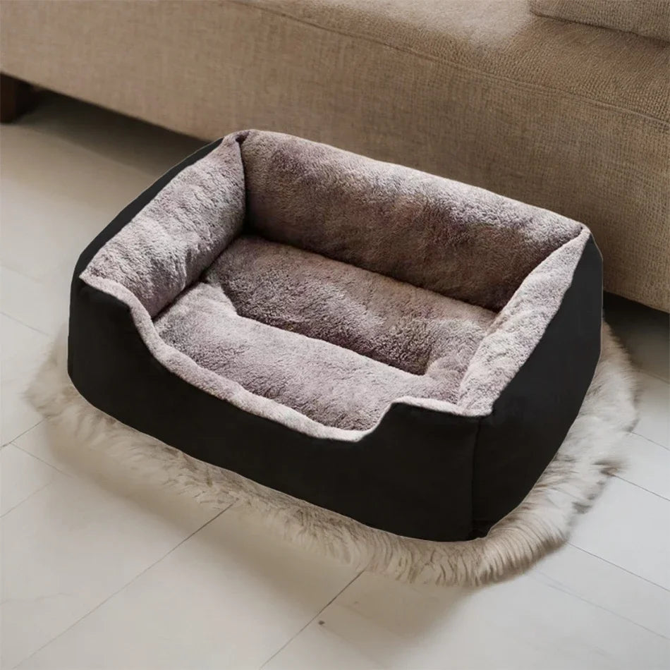 Bed for Cats Pet Products Cushions Kitten Goods Accessories Dog All Houses Supplies Things Accessory Habitats Basket House Beds Dureve
