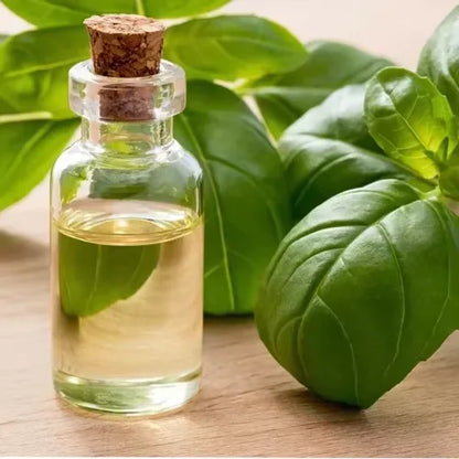 Wholesale High Quality Basil Essential Oil 100% Pure & Natural Basil Oil for Aromatherapy Scalp Nourishing & Skin Care