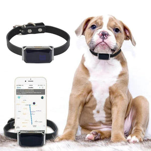 IP67 Waterproof GPS Pet Collar Tracker with WiFi Light My Store 2