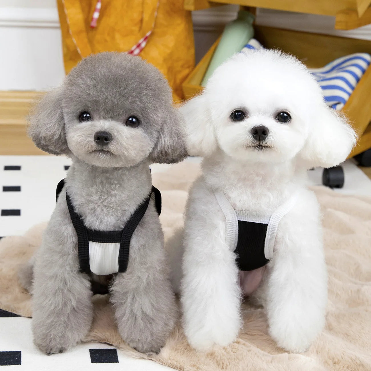 Pet Bow Vest Cat Clothes Thin Spring/summer Princess Camisole Vest Teddy Summer Simple Sun Protection Short Sleeved Shirt