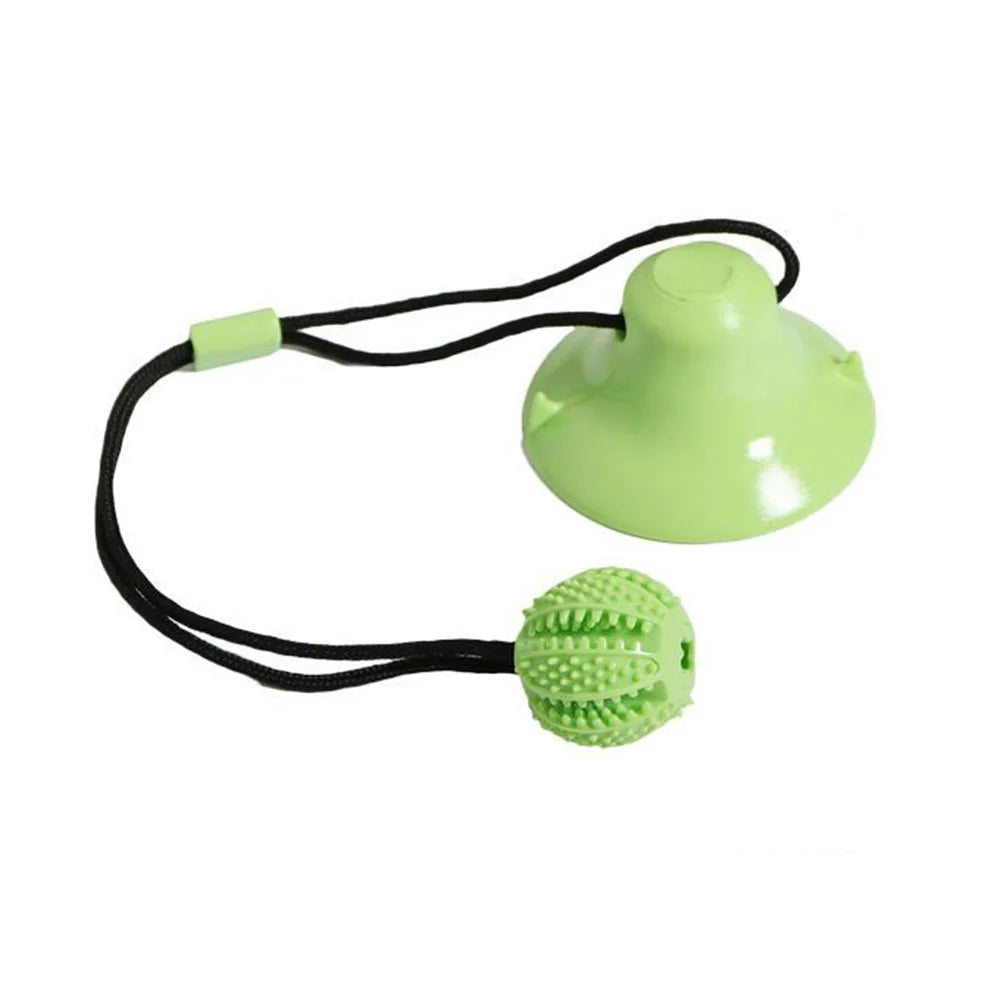 Interactive Dog Chew Ball Toy with Suction Cup My Store 2
