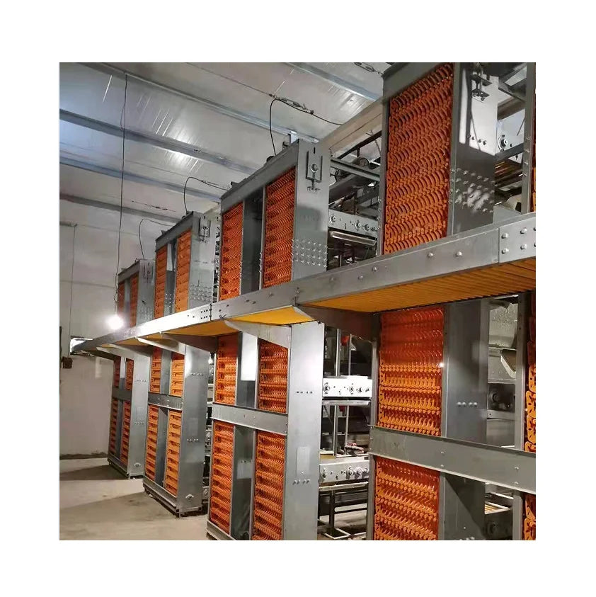 Poultry Farm Equipment  Layer Chickens Battery Cage With Automatic Feeder and Drinker