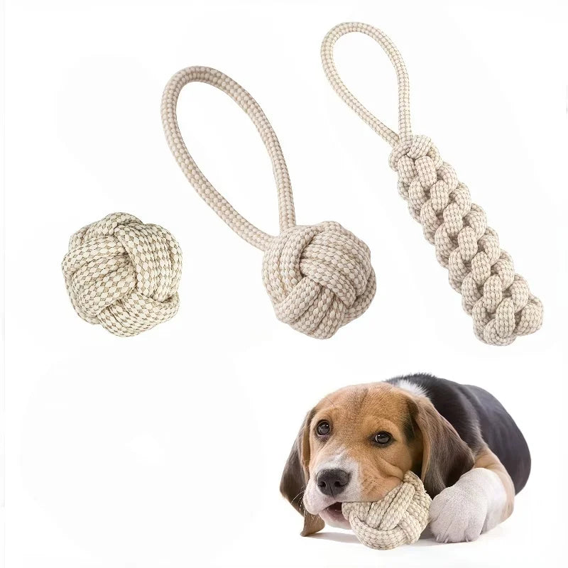 A 3-piece Set Of Leisure And Entertainment Toys For Dogs And Cats To Better Interact With Your Pets Dureve