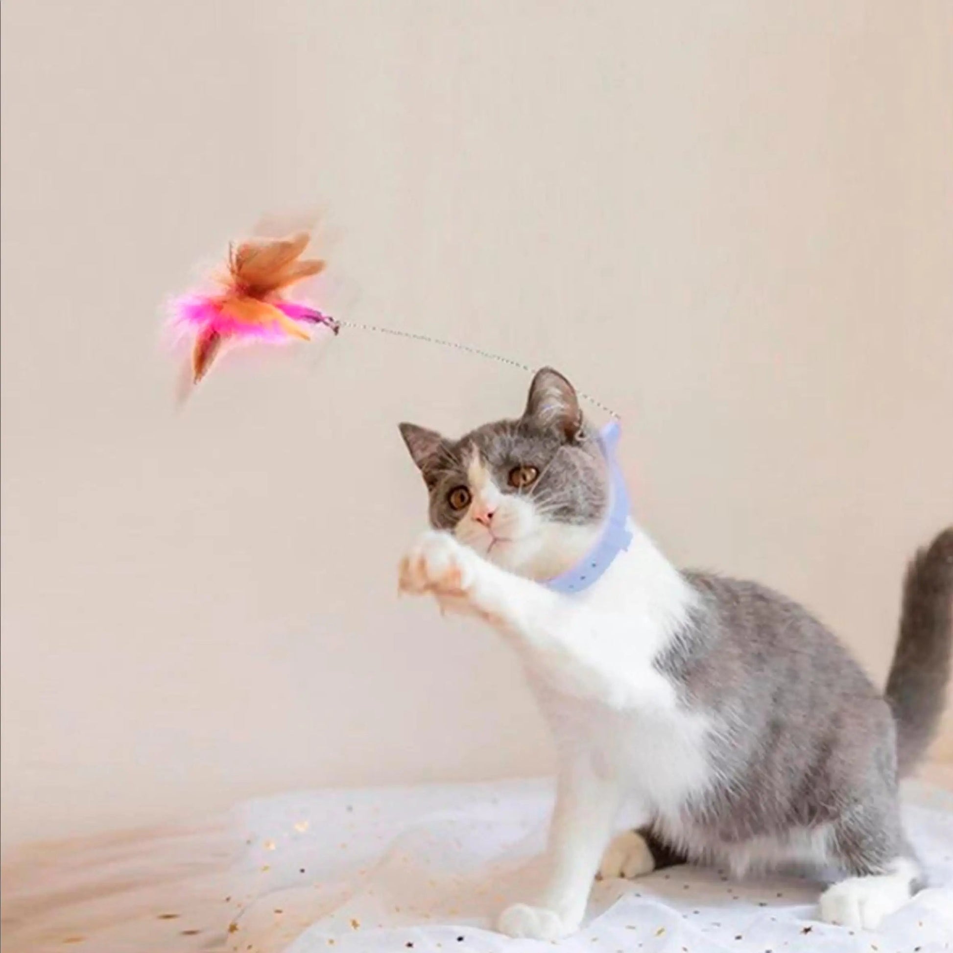 Interactive Cat Feather Collar Toy with Bell My Store 2