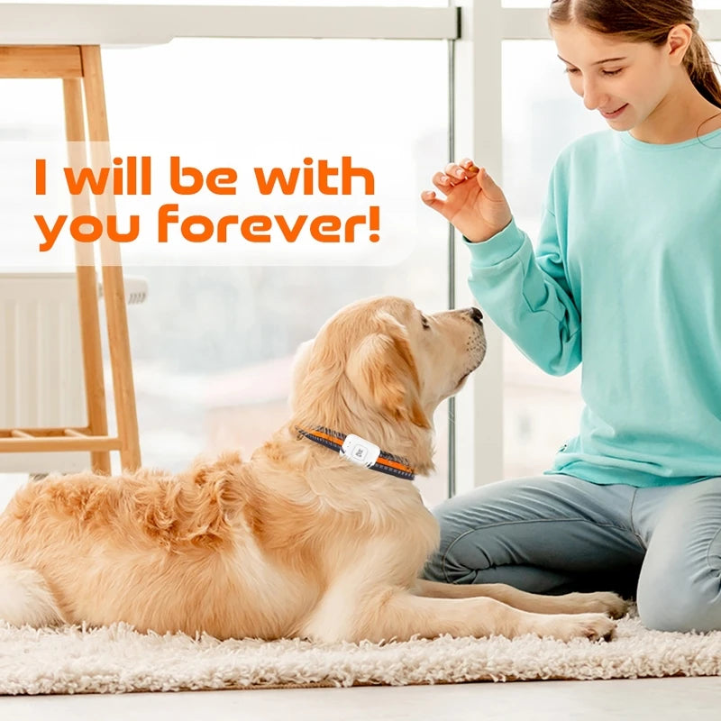 GPS Pet Locator Smart Collar with Colorful LED Flash IP67 Waterproof Pet Pedometer Calorie Health Data Monitoring Mini Tracker