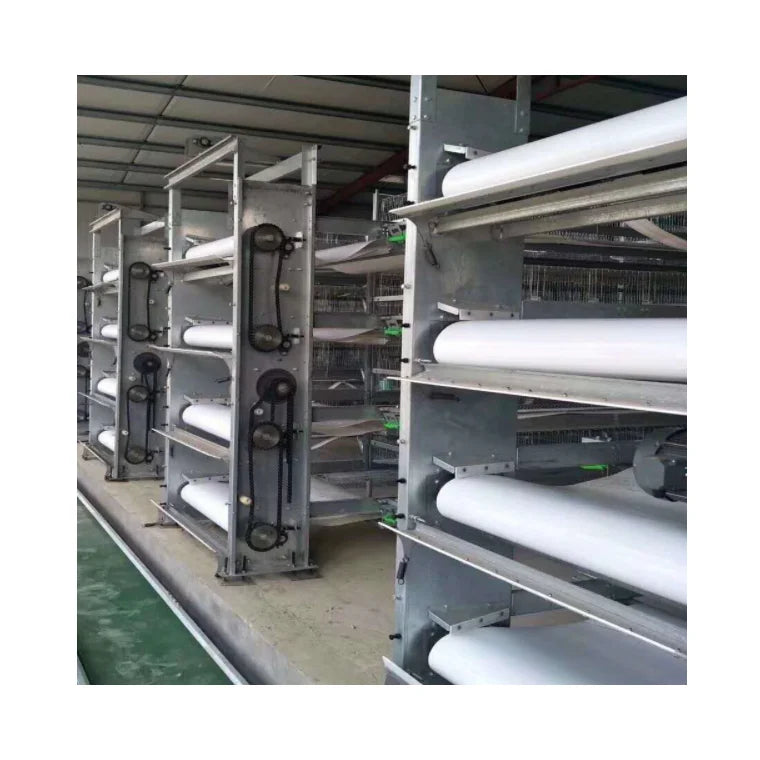 Poultry Farm Equipment  Layer Chickens Battery Cage With Automatic Feeder and Drinker