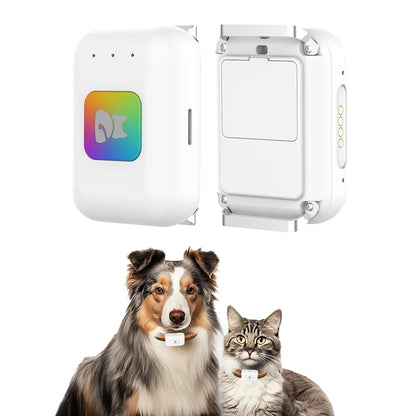 GPS Pet Locator Smart Collar with Colorful LED Flash IP67 Waterproof Pet Pedometer Calorie Health Data Monitoring Mini Tracker