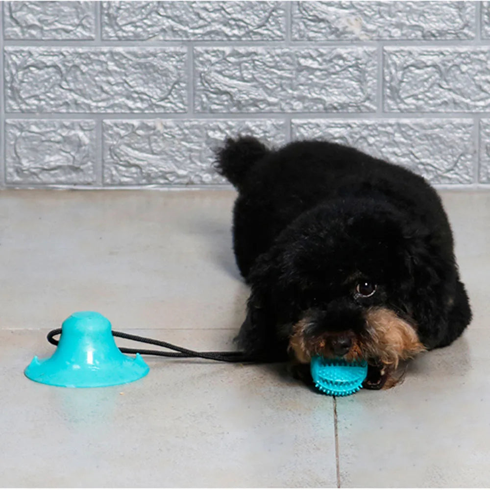Interactive Dog Chew Ball Toy with Suction Cup My Store 2