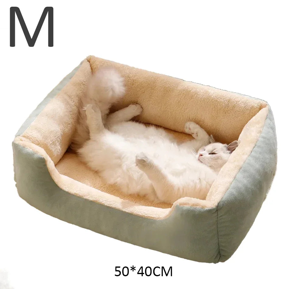 Bed for Cats Pet Products Cushions Kitten Goods Accessories Dog All Houses Supplies Things Accessory Habitats Basket House Beds Dureve