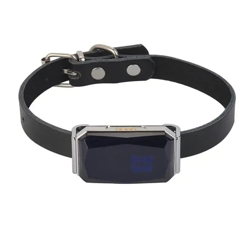IP67 Waterproof GPS Pet Collar Tracker with WiFi Light My Store 2