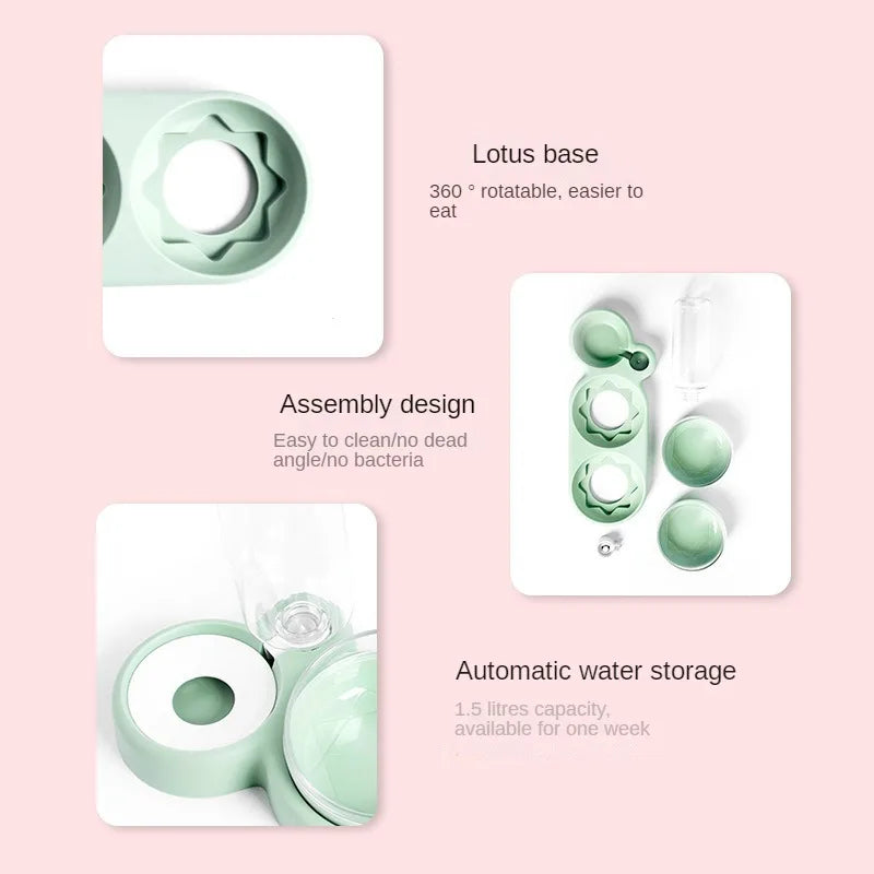 3 in 1 Snail Pet Feeding Bowl with Water Dispenser My Store 2