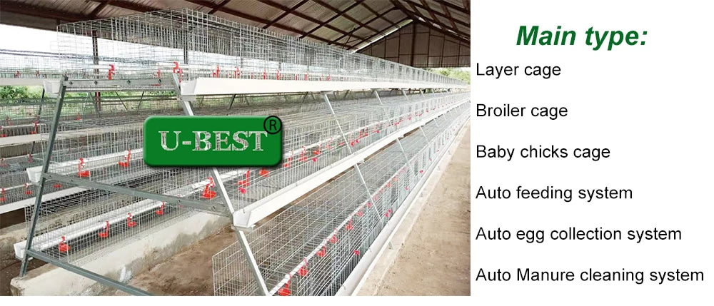 Poultry Farm Equipment  Layer Chickens Battery Cage With Automatic Feeder and Drinker