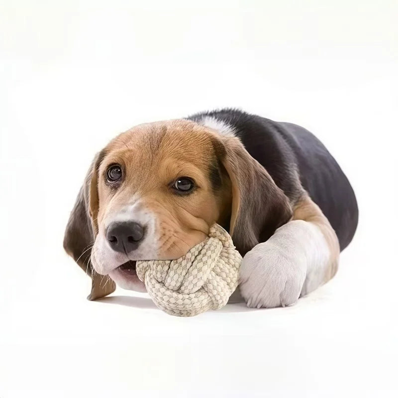 A 3-piece Set Of Leisure And Entertainment Toys For Dogs And Cats To Better Interact With Your Pets Dureve