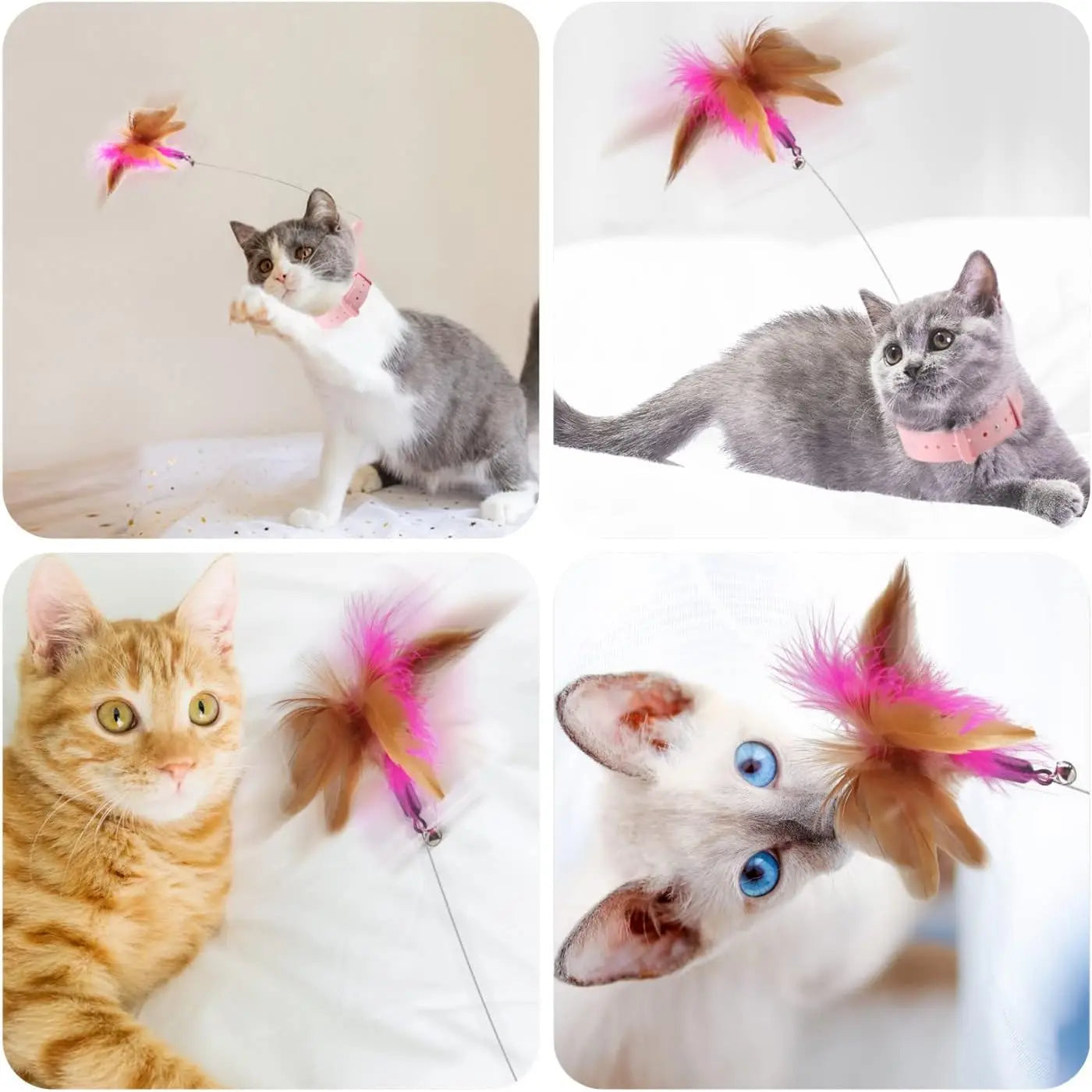 Interactive Cat Feather Collar Toy with Bell My Store 2