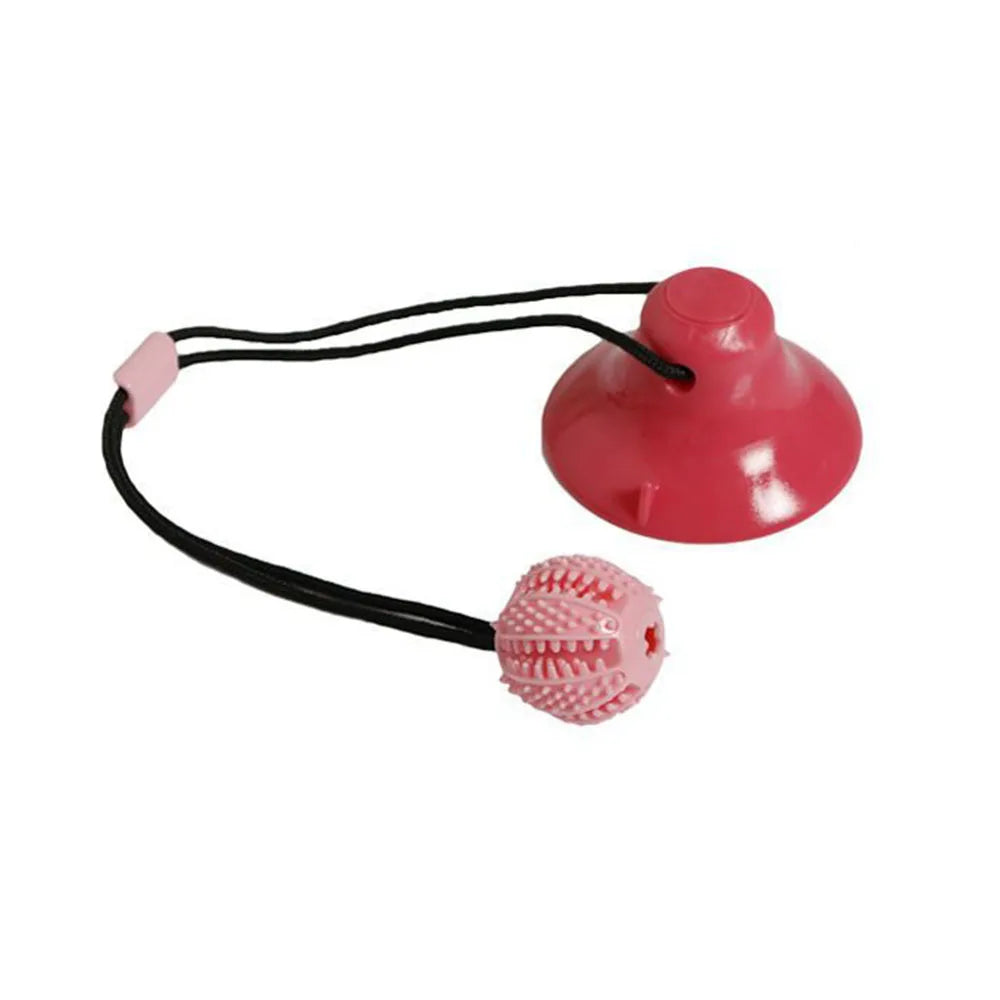 Interactive Dog Chew Ball Toy with Suction Cup My Store 2