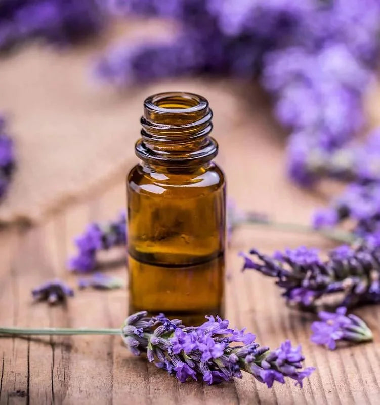 OEM Private Label Lavender Oil 100% Pure & Natural Lavender Essential Oil for Support Natural Aromatherapy, Hair & Skin Care